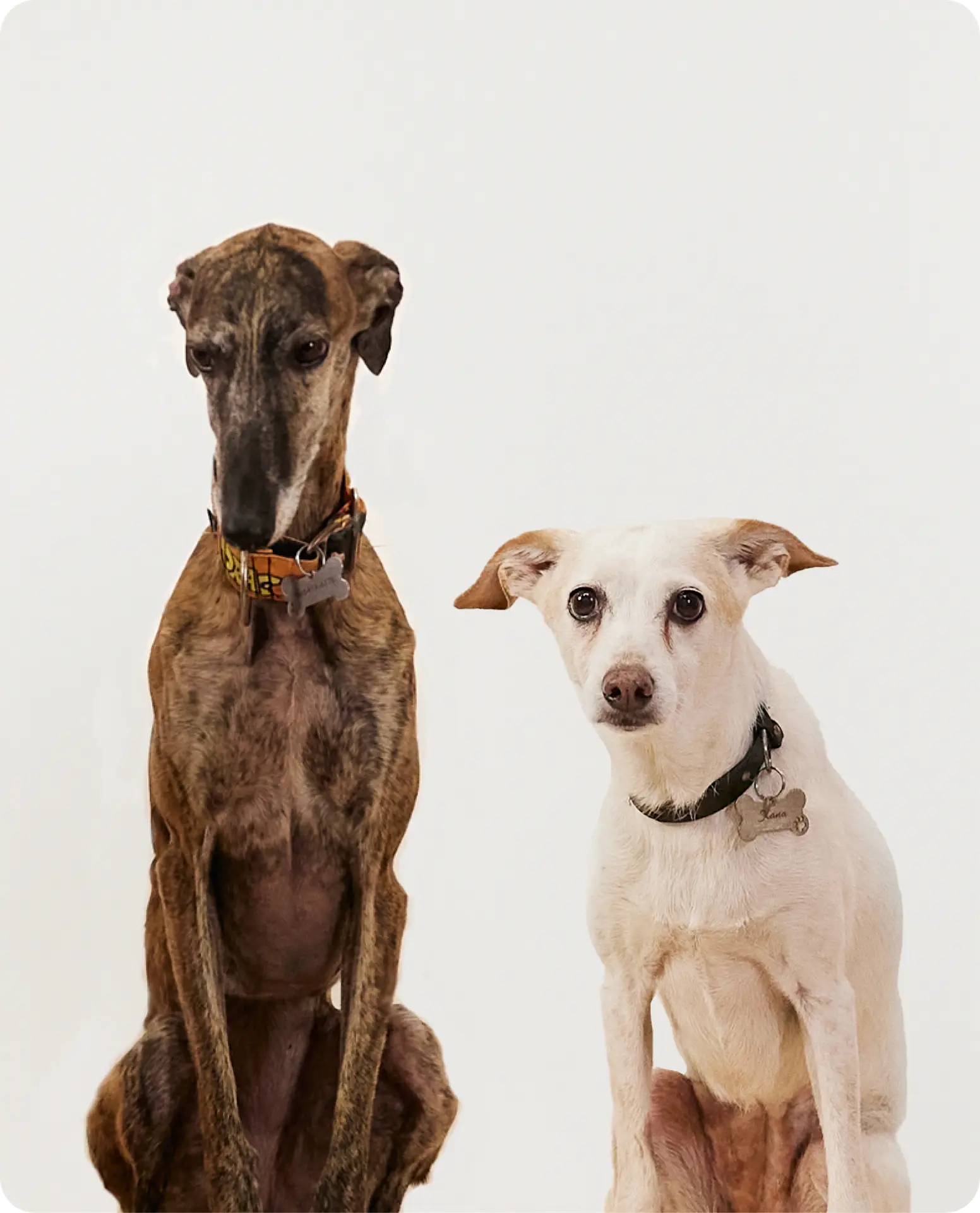 XANA Y BROA